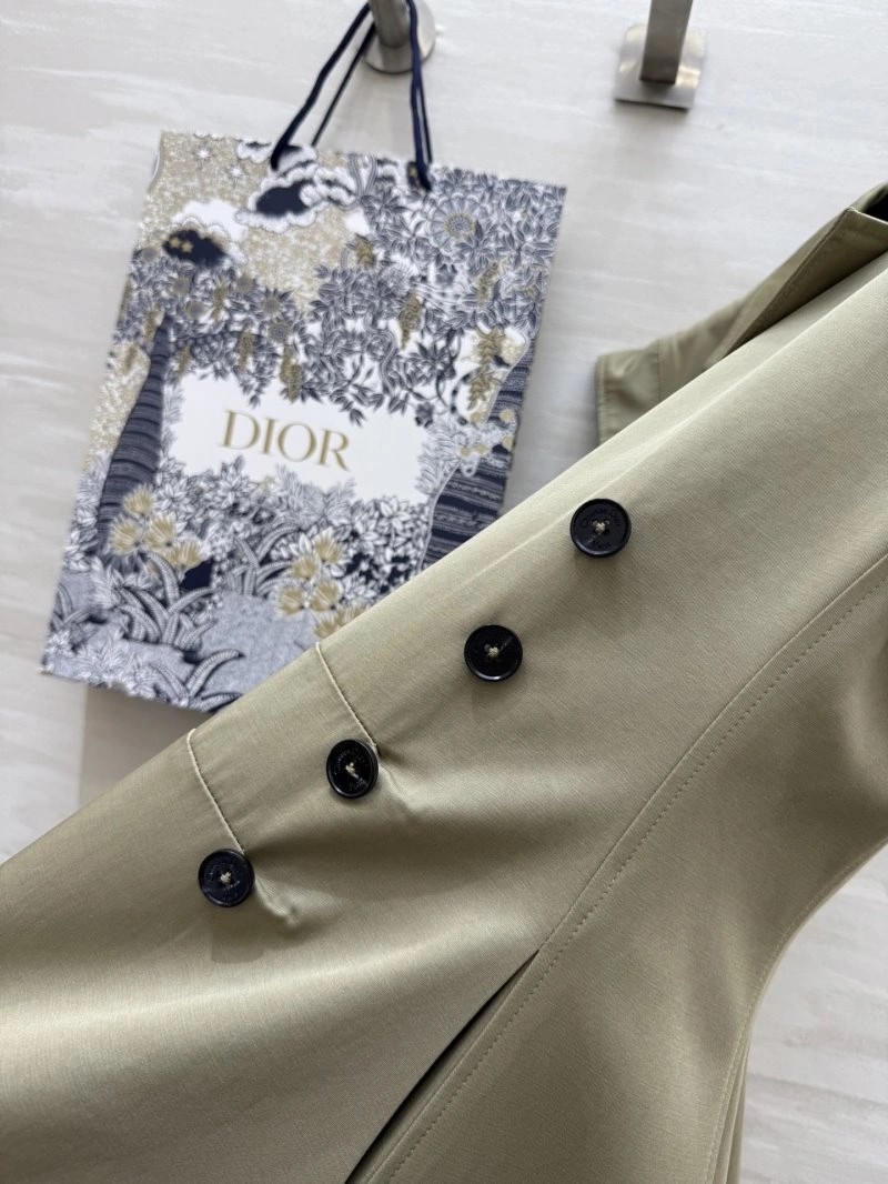 SmoothTexture Christian Dior Dress 113974