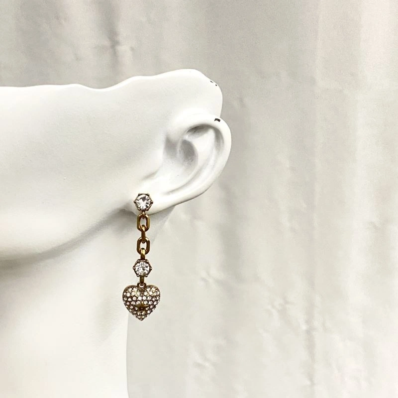 Practical Christian Dior Earrings 236048