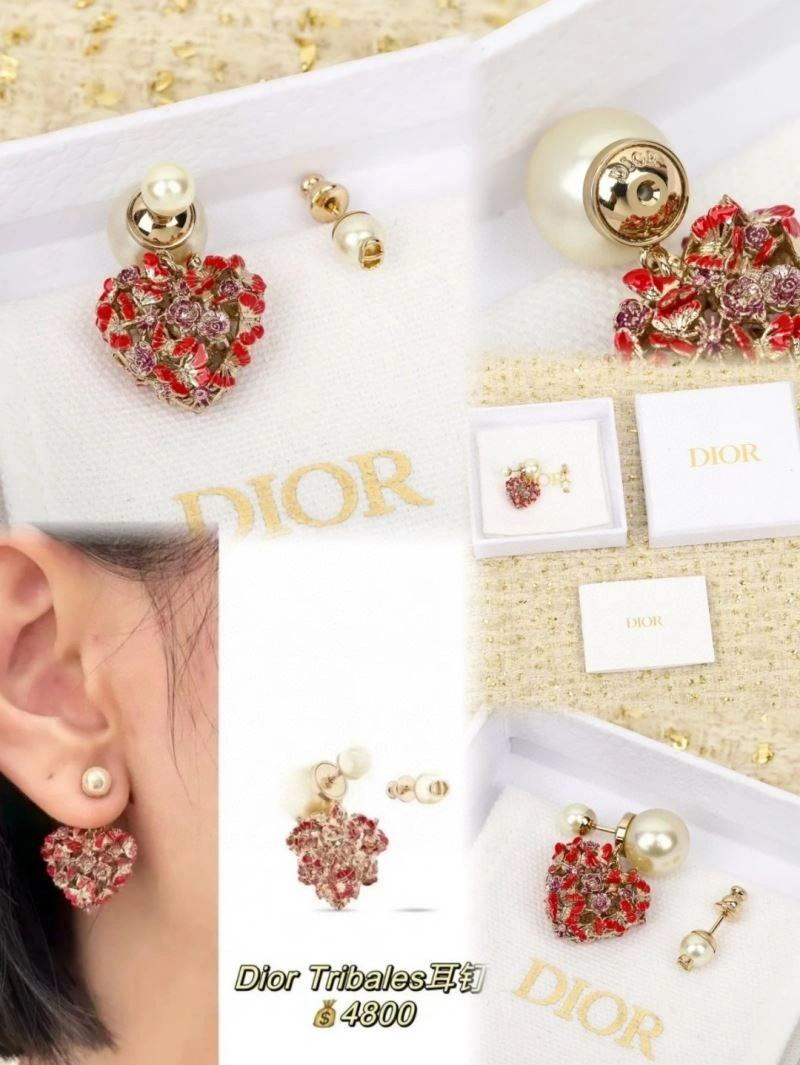 Christian Dior Earrings Timeless 236037