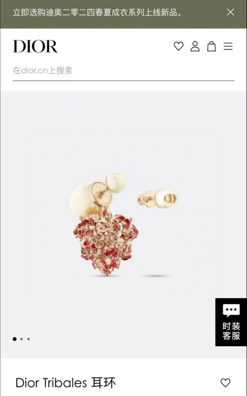 Christian Dior Earrings Timeless 236037