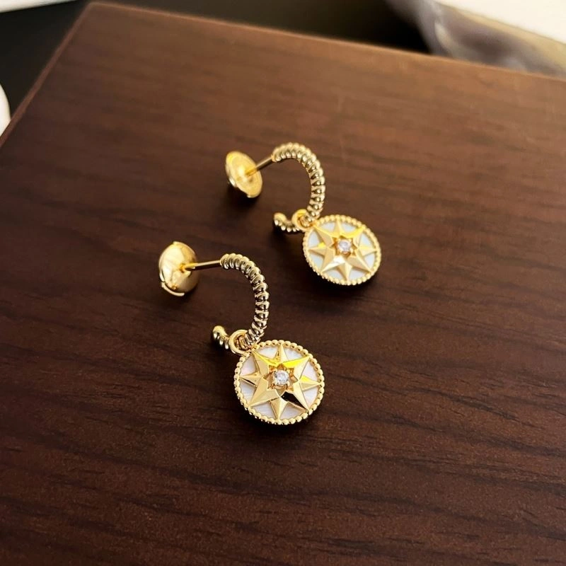 Sophisticated Christian Dior Earrings 236038