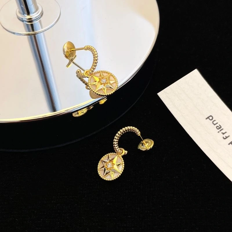 Sophisticated Christian Dior Earrings 236038