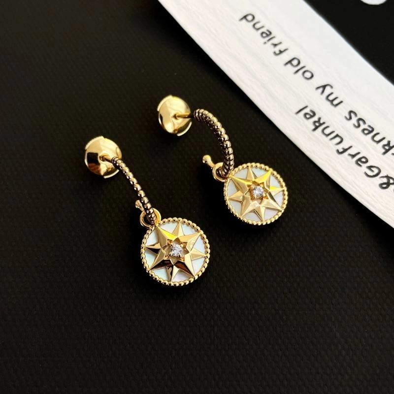 Sophisticated Christian Dior Earrings 236038