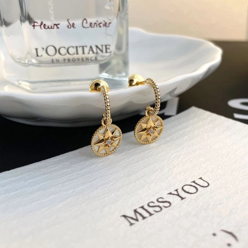 Sophisticated Christian Dior Earrings 236038