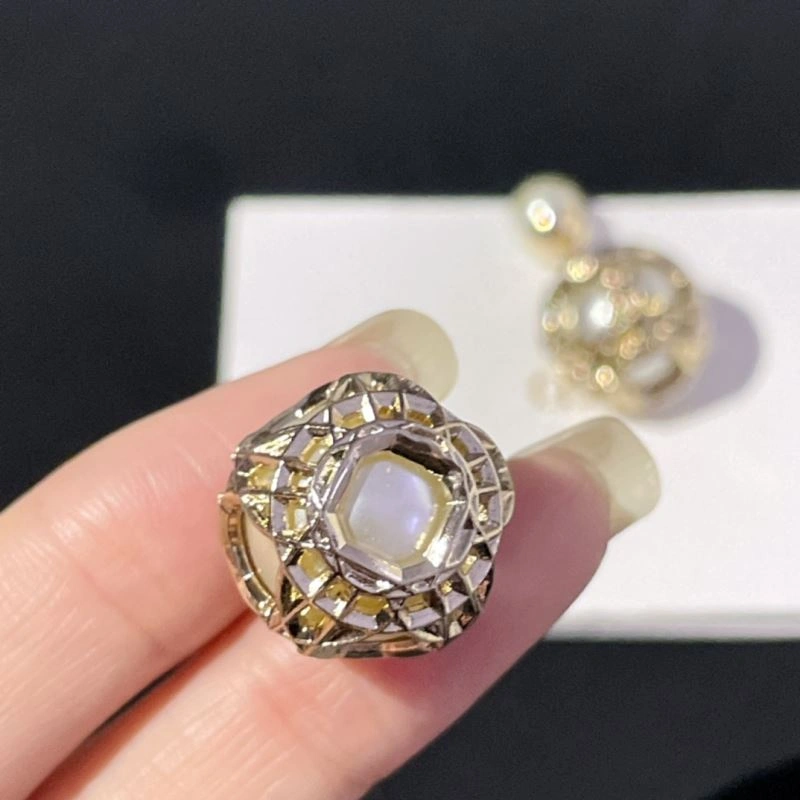 Christian Dior Earrings Functional 236045