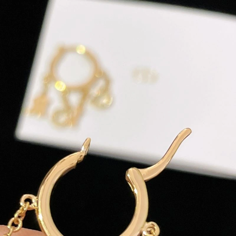 QuickDry Christian Dior Earrings 236028