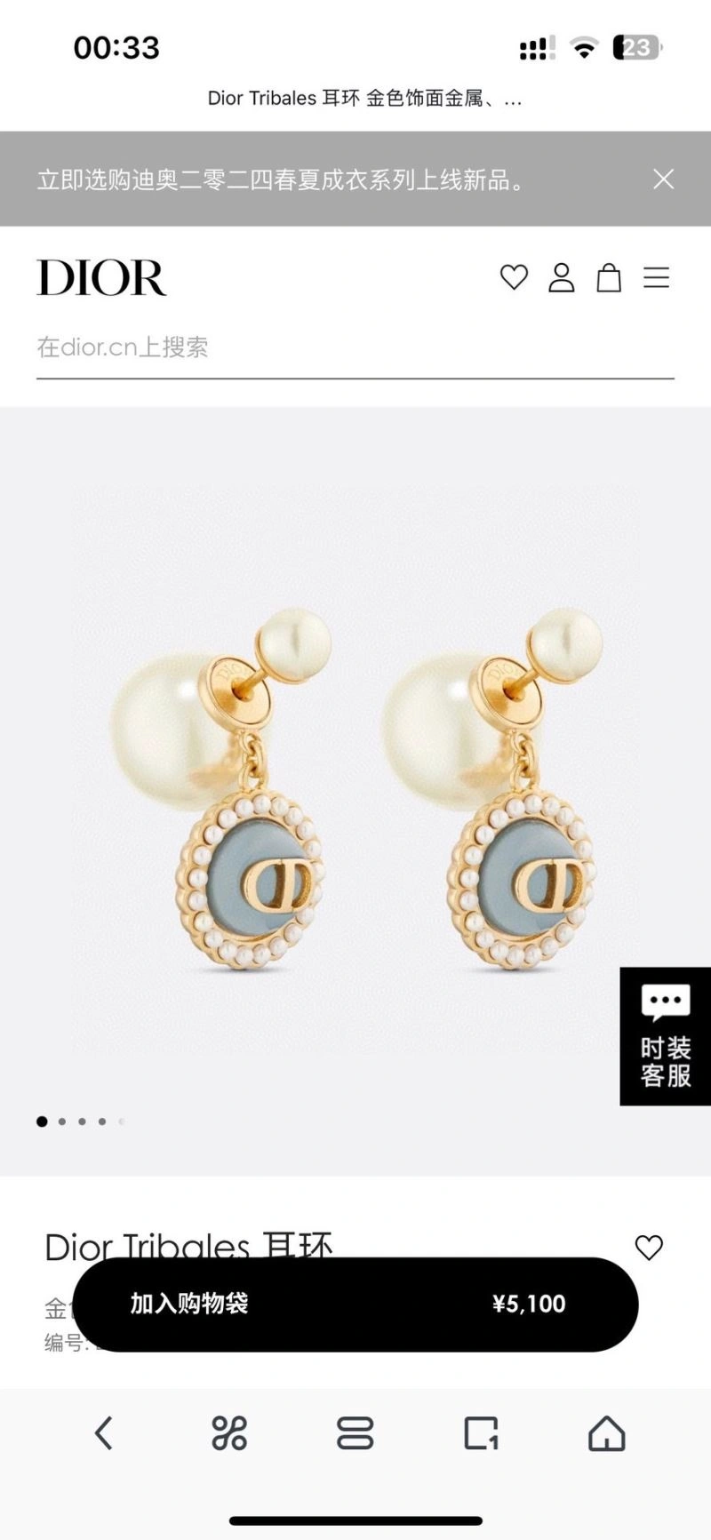 Christian Dior Earrings ModernLook 236091