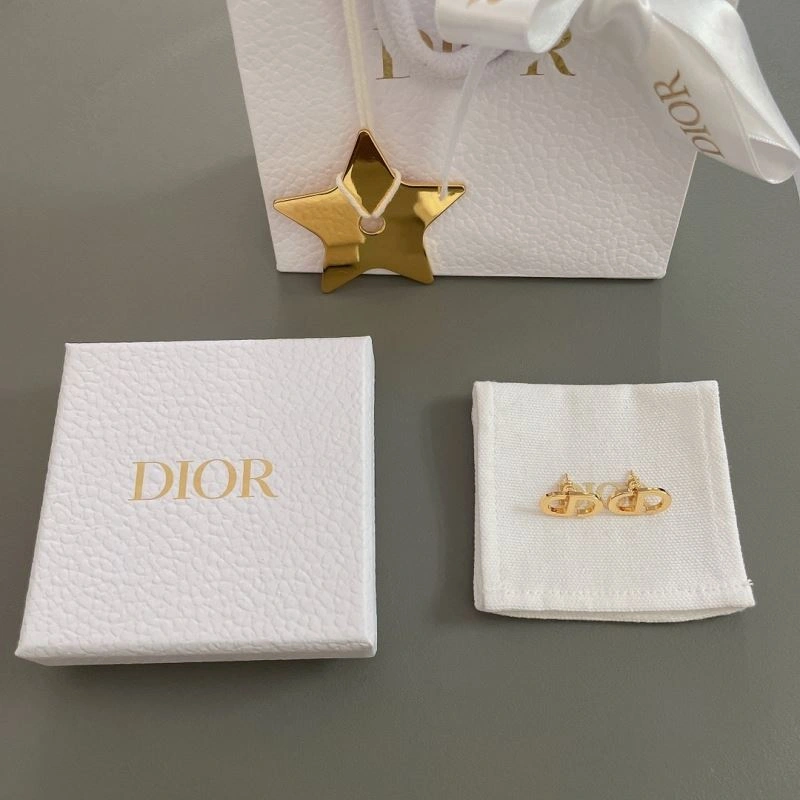 FastDry Christian Dior Earrings 236018