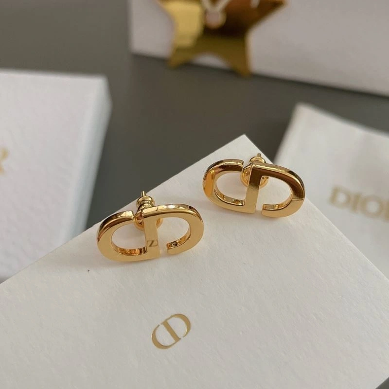 FastDry Christian Dior Earrings 236018
