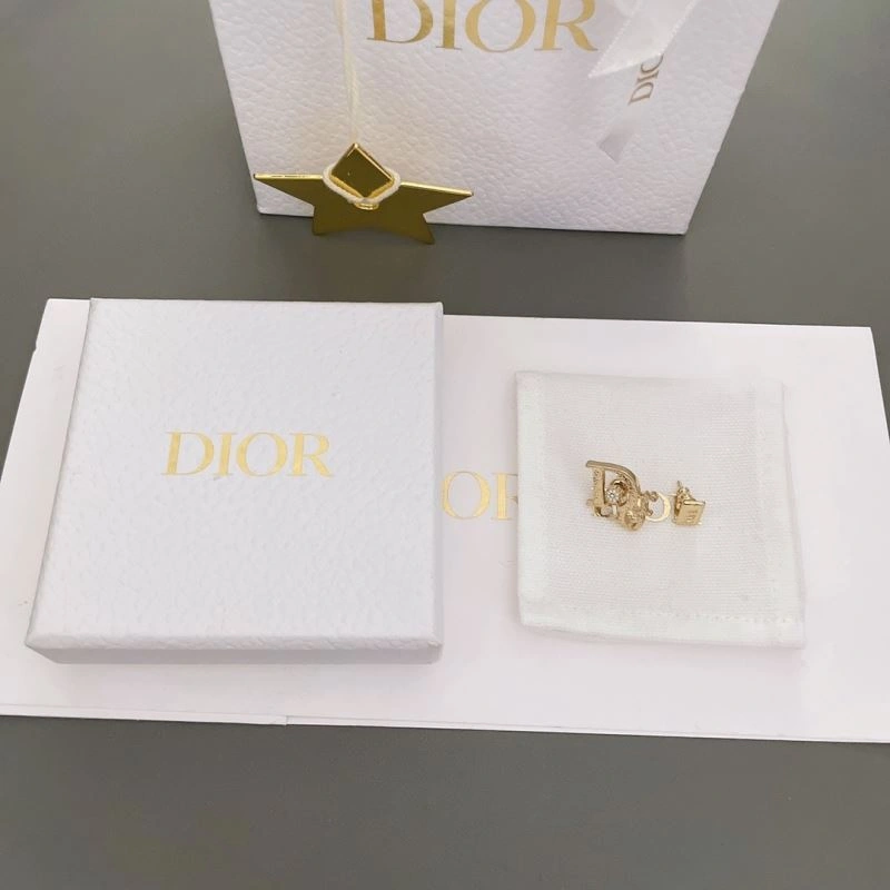 Snug Christian Dior Earrings 236024