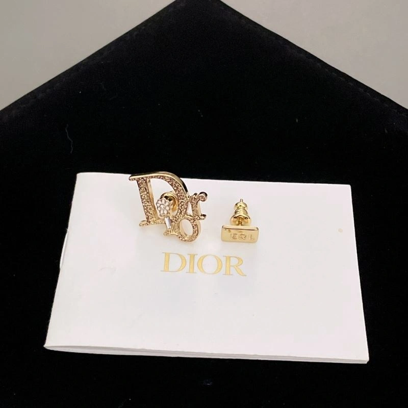 Snug Christian Dior Earrings 236024
