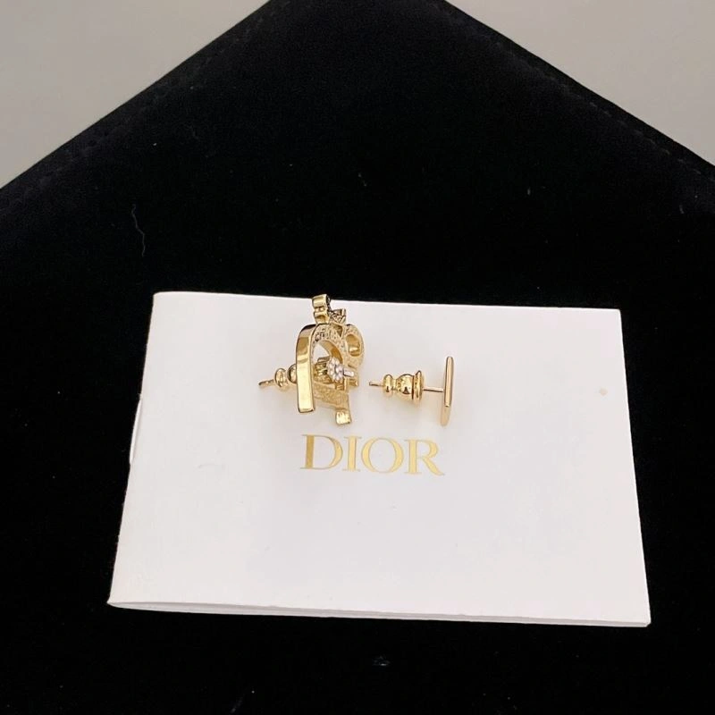 Snug Christian Dior Earrings 236024