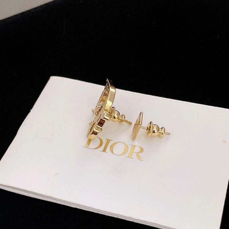 Snug Christian Dior Earrings 236024