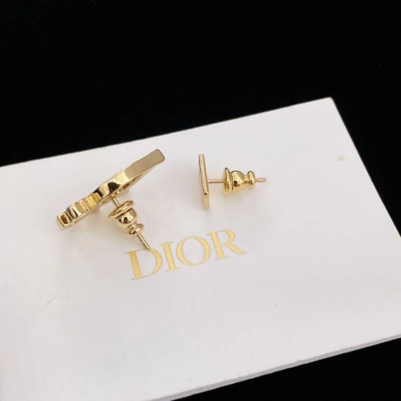 Snug Christian Dior Earrings 236024