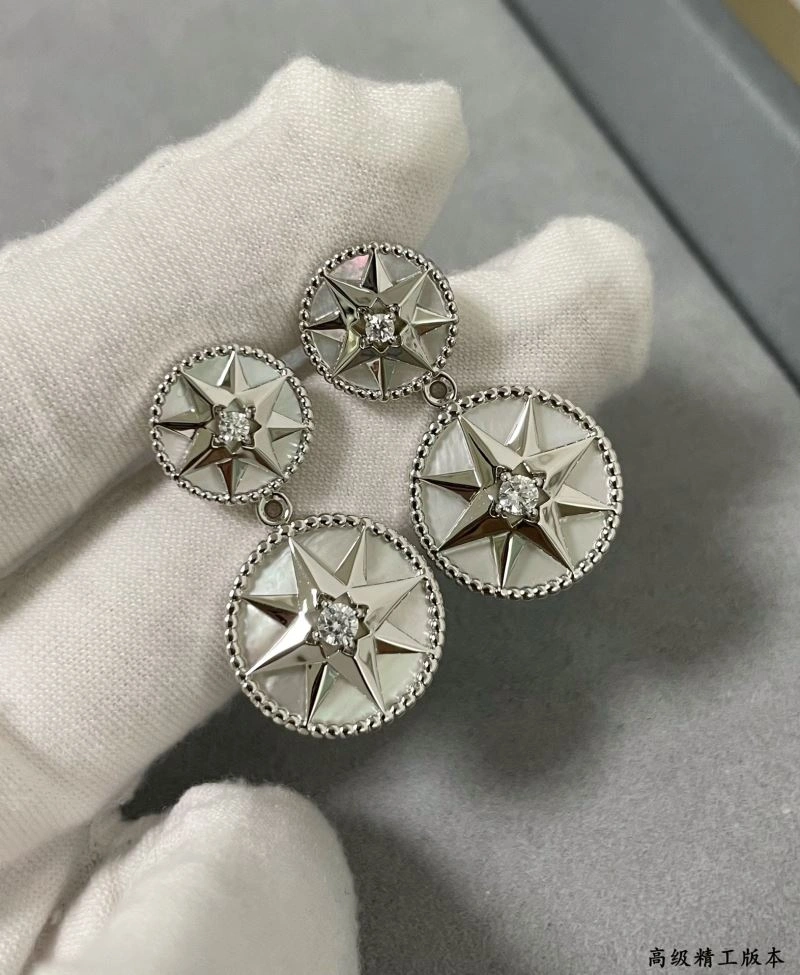Bright Christian Dior Earrings 236020