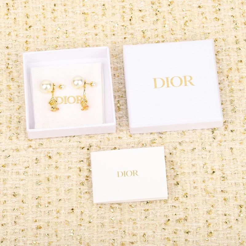 GoAnywhere Christian Dior Earrings 236023