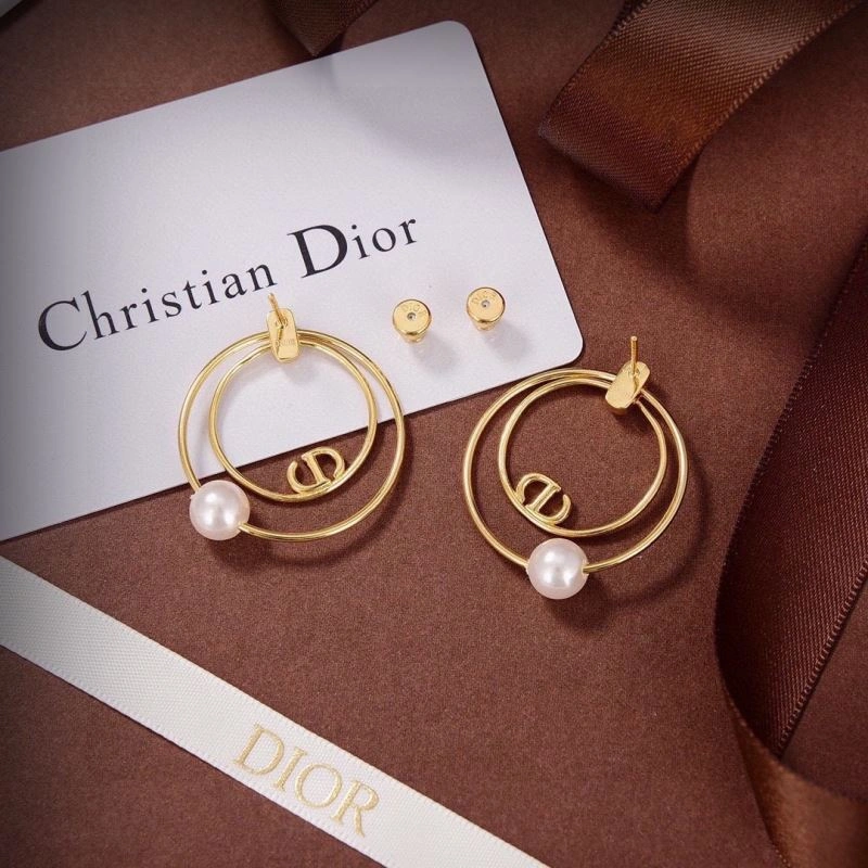 Snug Christian Dior Earrings 236078