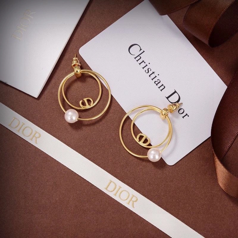 Snug Christian Dior Earrings 236078
