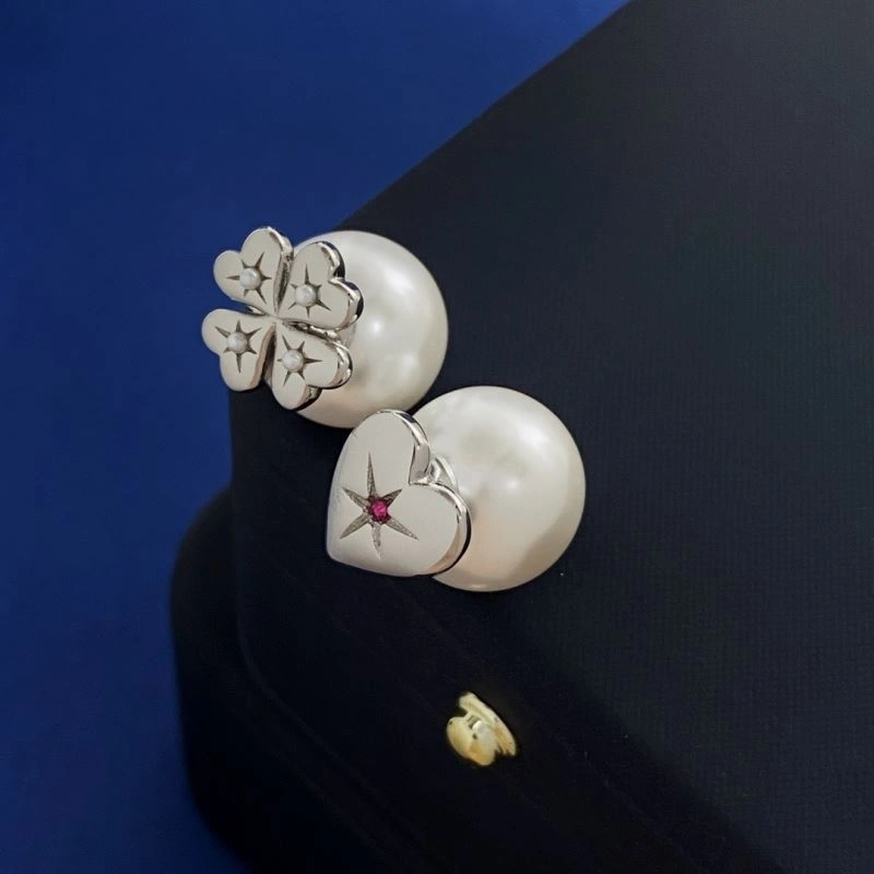 Unique Christian Dior Earrings 235997