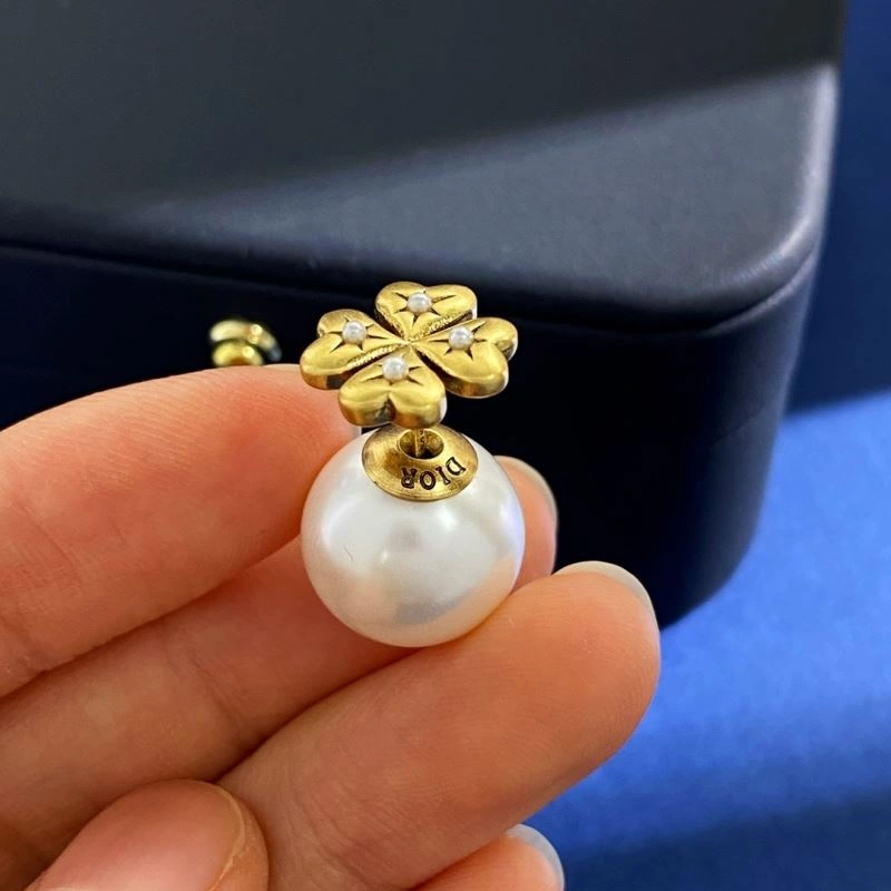 Unique Christian Dior Earrings 235997