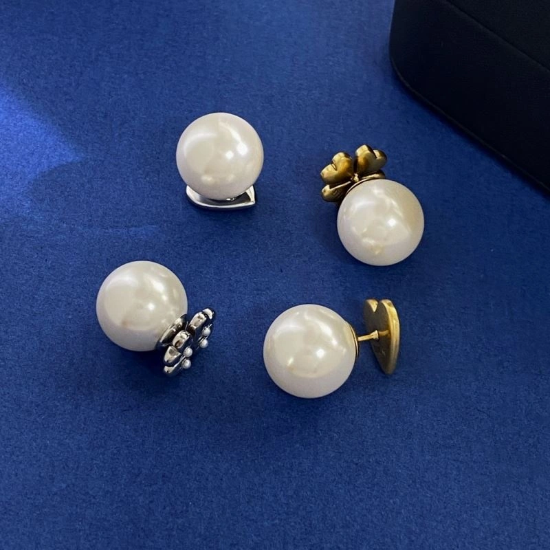 Unique Christian Dior Earrings 235997