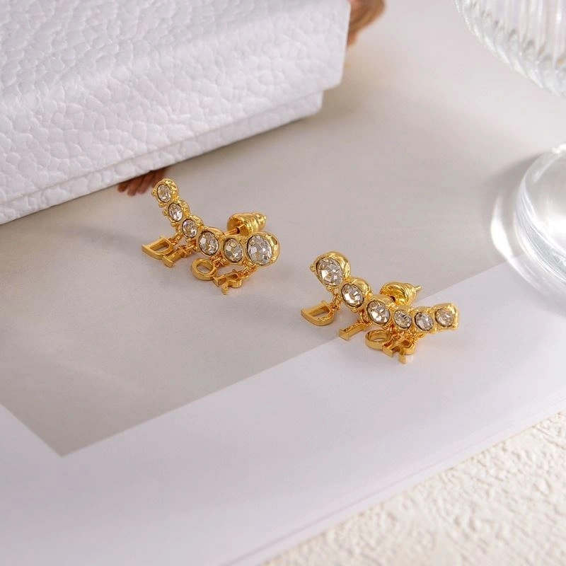 Vibrant Christian Dior Earrings 235989