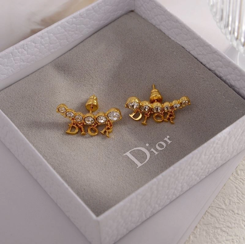 Vibrant Christian Dior Earrings 235989