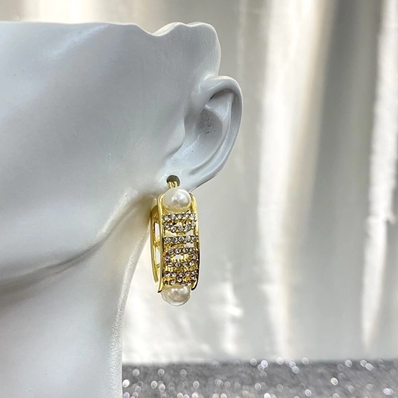 Christian Dior Earrings Packable 235843