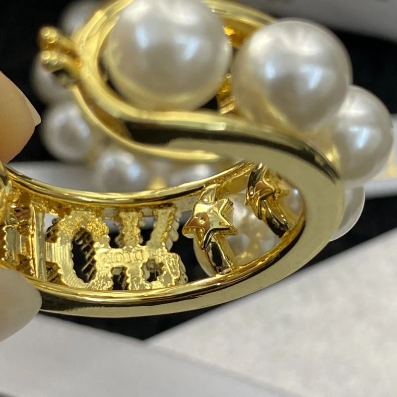 Christian Dior Earrings Packable 235843
