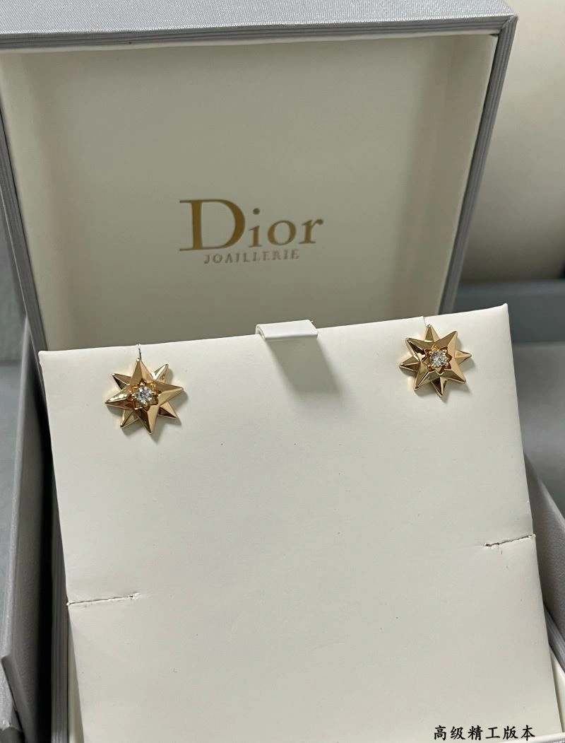 TimelessDesign Christian Dior Earrings 235868