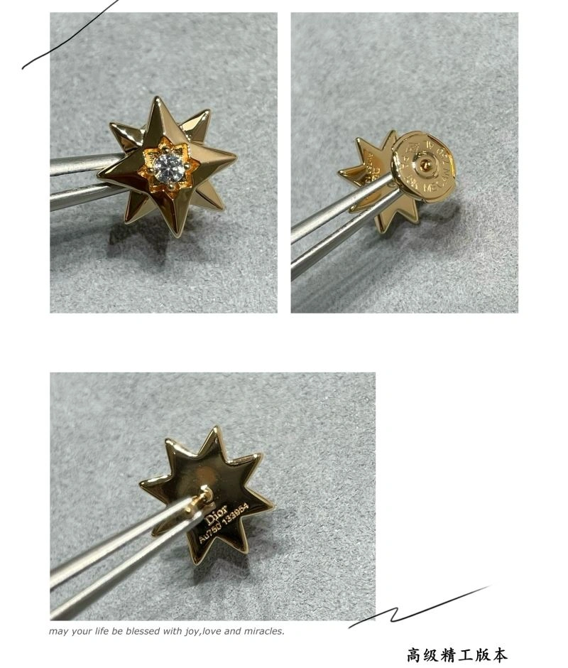 TimelessDesign Christian Dior Earrings 235868