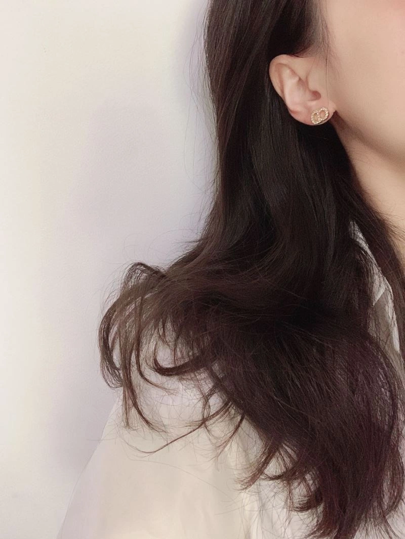 Durable Christian Dior Earrings 235879