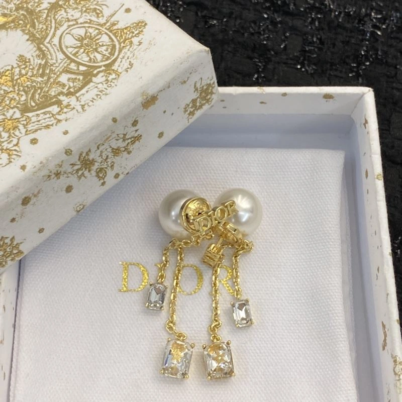 Christian Dior Earrings Trendy 235873