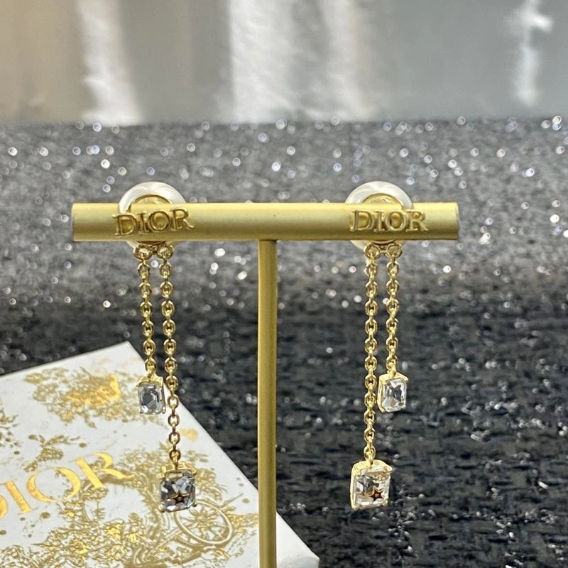 Christian Dior Earrings Trendy 235873