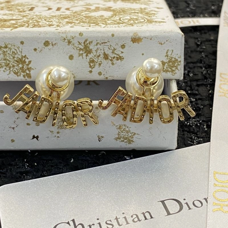 Unisex Christian Dior Earrings 235803