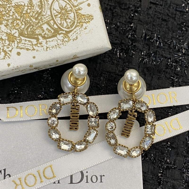 Snug Christian Dior Earrings 235804