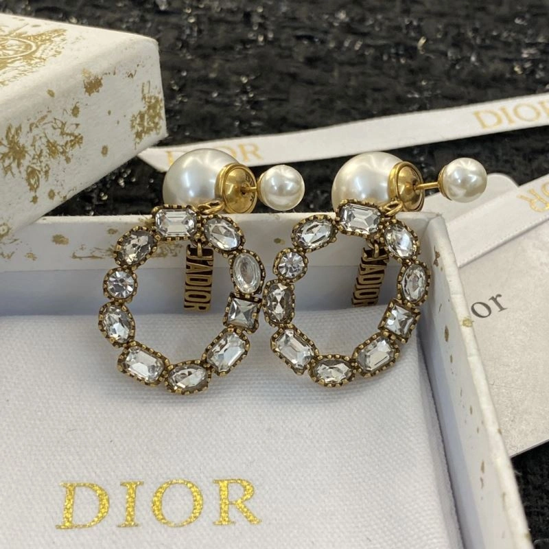 Snug Christian Dior Earrings 235804