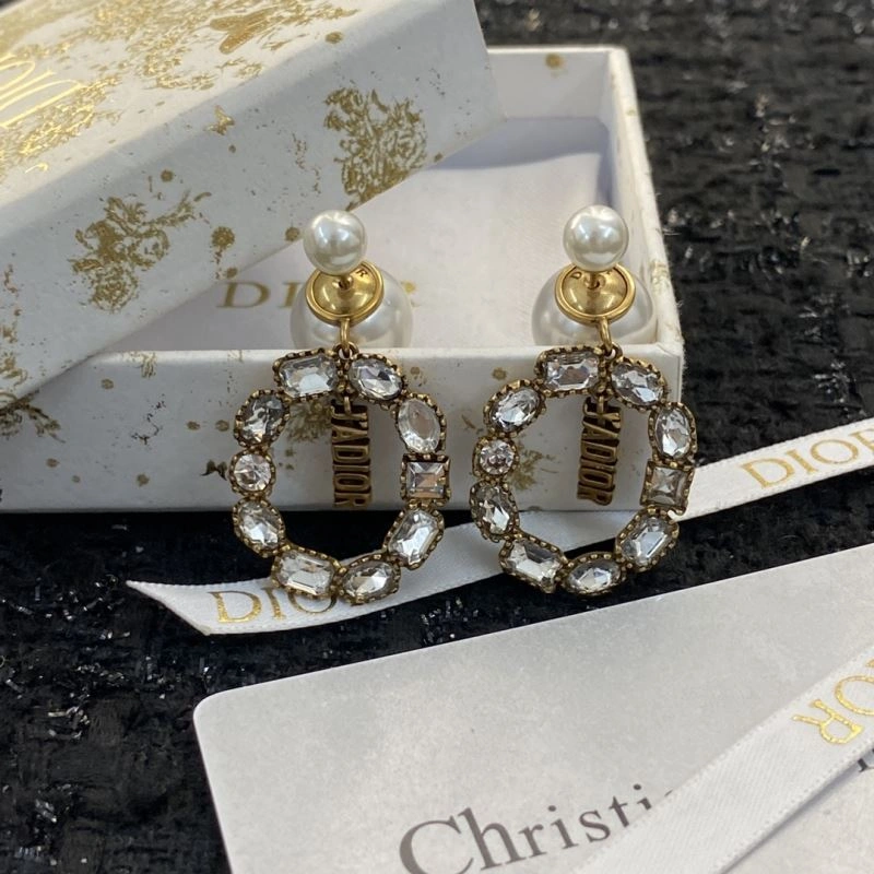 Snug Christian Dior Earrings 235804