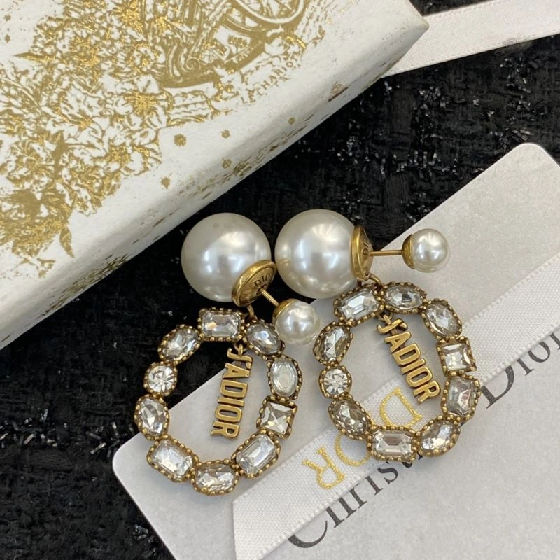 Snug Christian Dior Earrings 235804