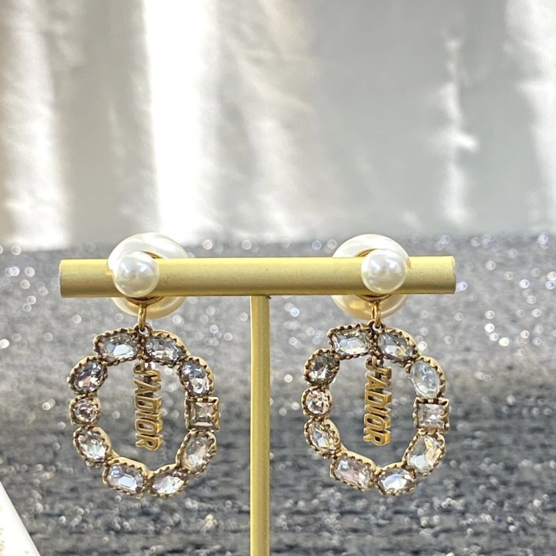 Snug Christian Dior Earrings 235804