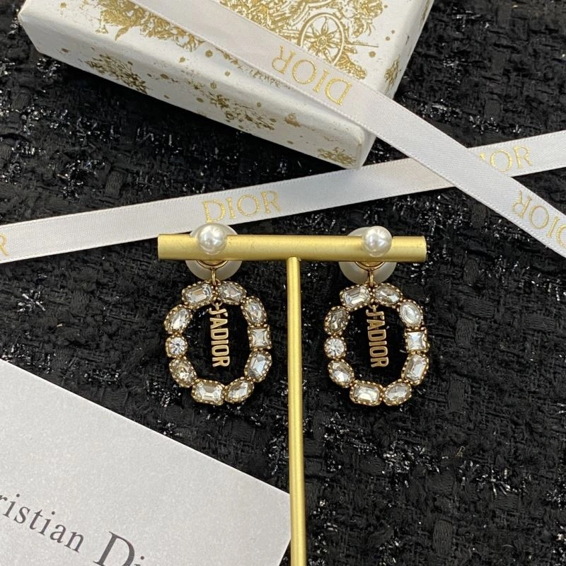 Snug Christian Dior Earrings 235804