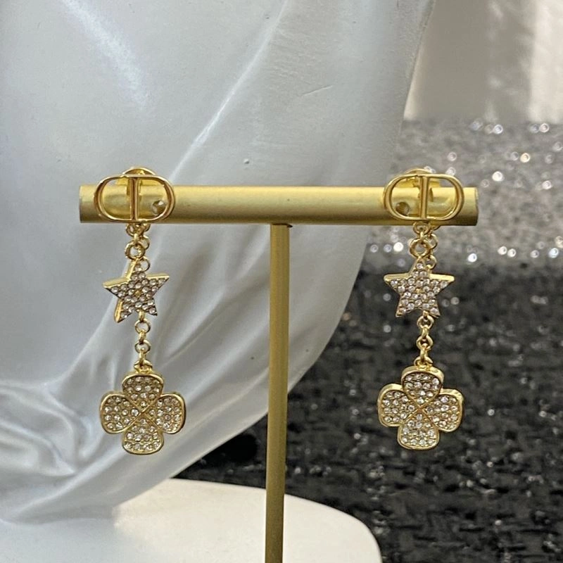 Durable Christian Dior Earrings 235856