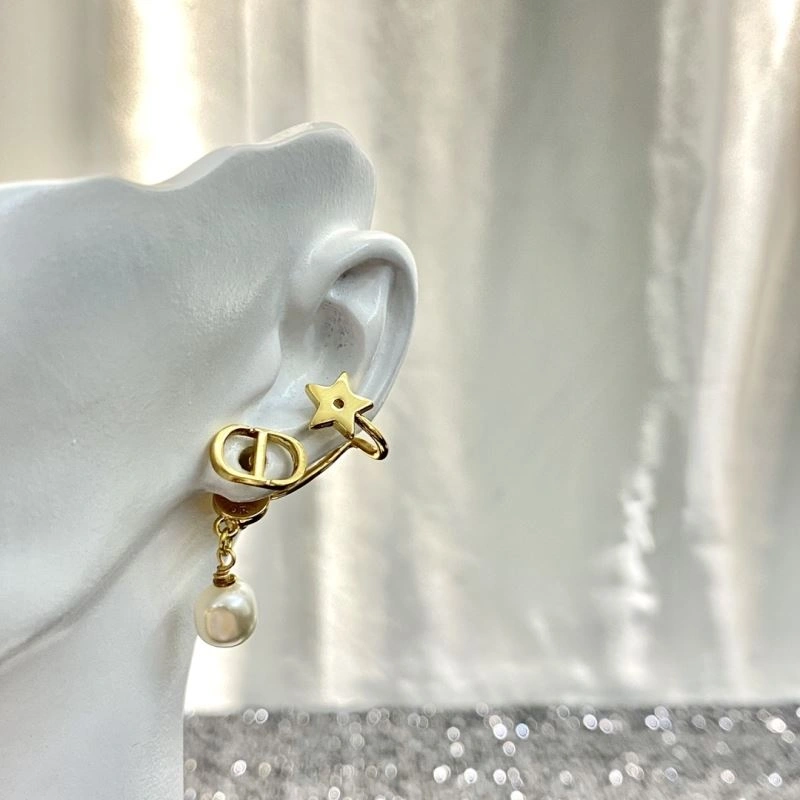 Unisex Christian Dior Earrings 235810