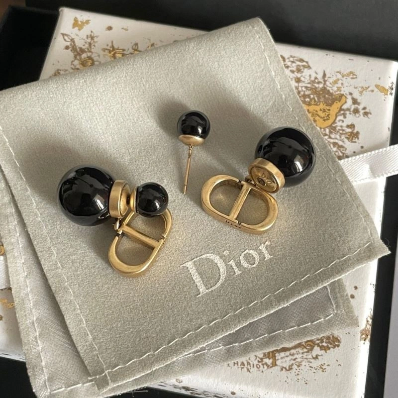 Christian Dior Earrings Stylish 235802