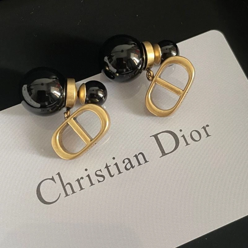 Christian Dior Earrings Stylish 235802
