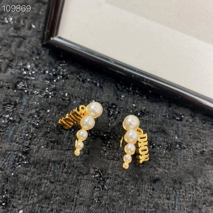 Resilient Christian Dior Earrings 235791