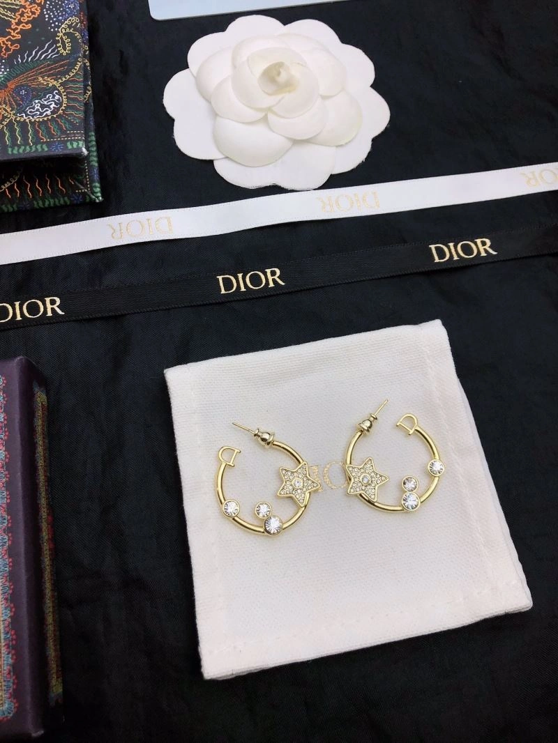 RelaxedFit Christian Dior Earrings 235790