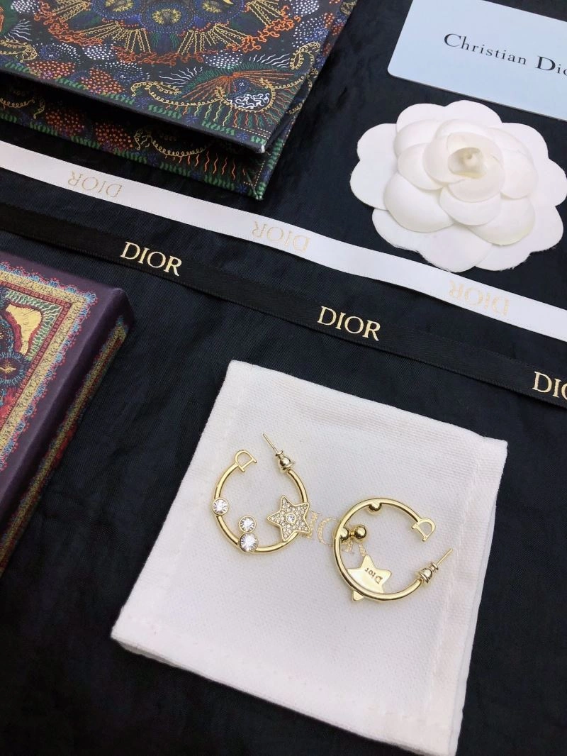 RelaxedFit Christian Dior Earrings 235790