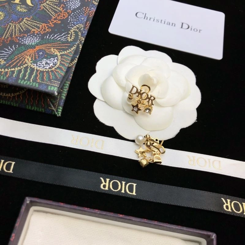 Sleek Christian Dior Earrings 235836