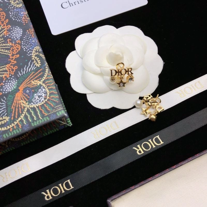 Sleek Christian Dior Earrings 235836